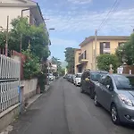 Il Giglio Viola
