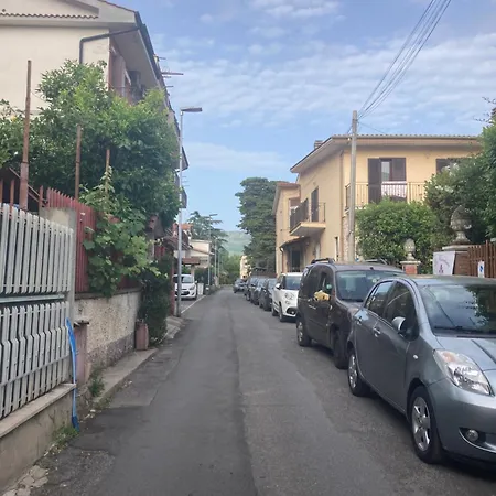 Il Giglio Viola