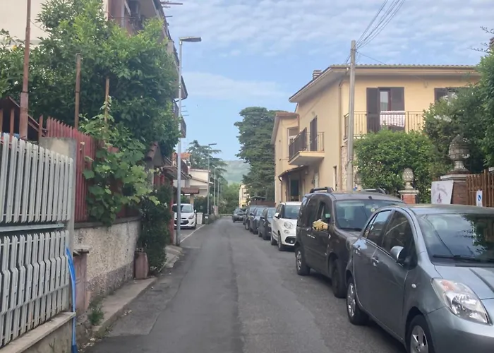 Il Giglio Viola